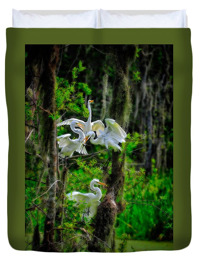Birds Duvet Cover featuring the photograph Four Egrets in Tree by Harry Spitz