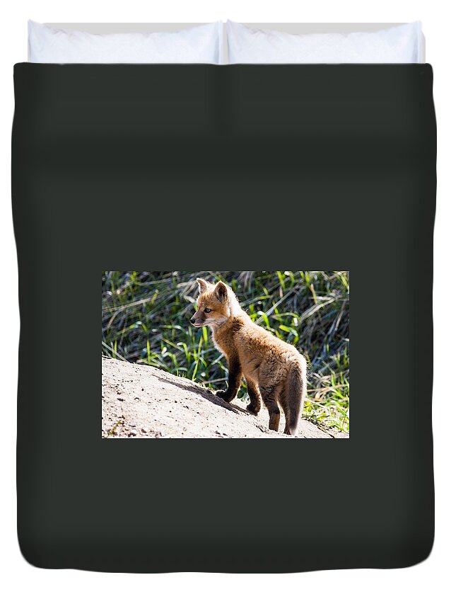 Red Fox Duvet Cover featuring the photograph Fox Kit #1 by Mindy Musick King