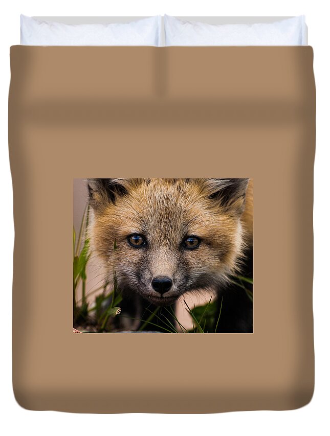 Fox Kit Duvet Cover featuring the photograph Fox Kit #5 Up Close and Curious by Mindy Musick King