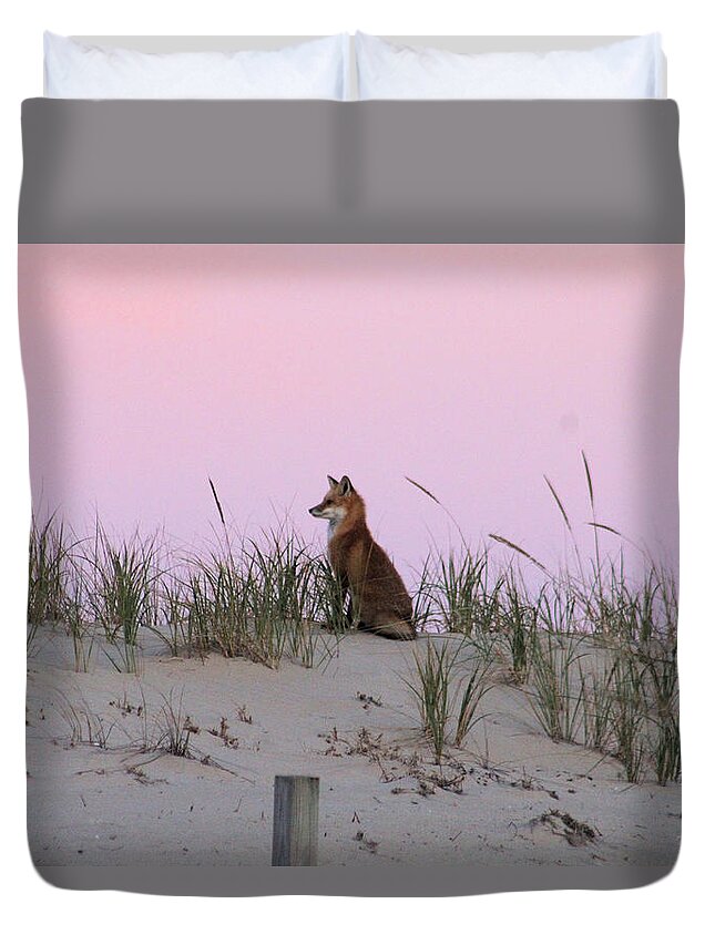 Fox Duvet Cover featuring the photograph Fox On The Dune At Dawn by Robert Banach