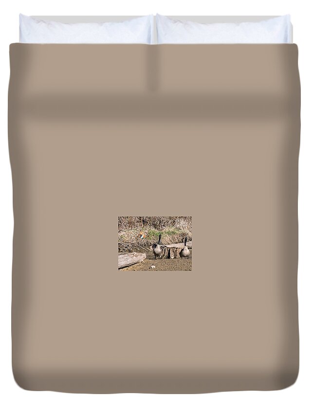 Heron Heaven Duvet Cover featuring the photograph Fox Watch by Ed Peterson