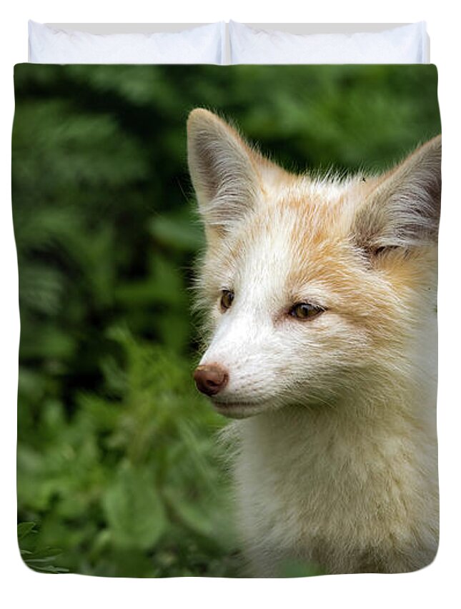 Fox Duvet Cover featuring the photograph Foxy Lady by Sam Rino