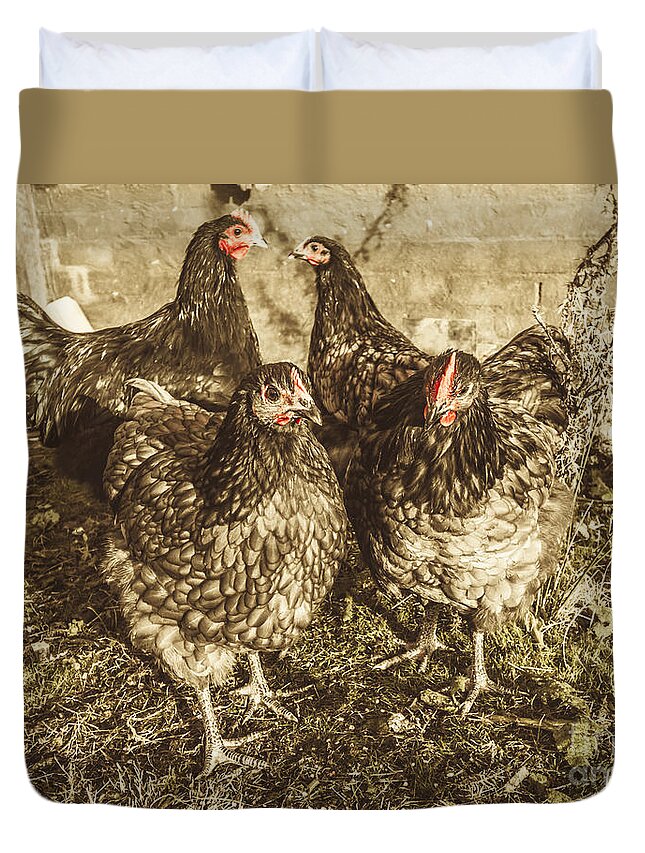 Free Range Duvet Cover featuring the photograph Free range poultry by Jorgo Photography