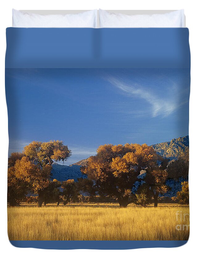 Dave Welling Duvet Cover featuring the photograph Fremont Cottonwoods Poulus Fremontii In Fall Color California by Dave Welling