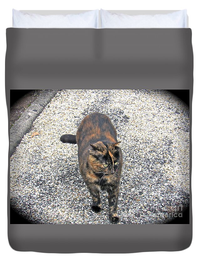Cat Duvet Cover featuring the photograph French Feline by Barbara Plattenburg