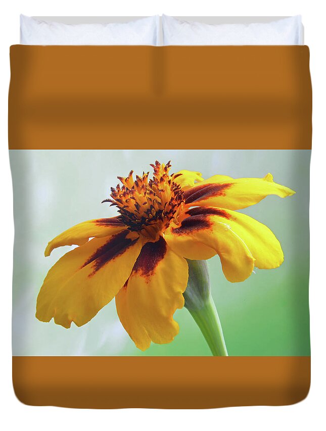 Marigold Duvet Cover featuring the photograph French Marigold by Terence Davis