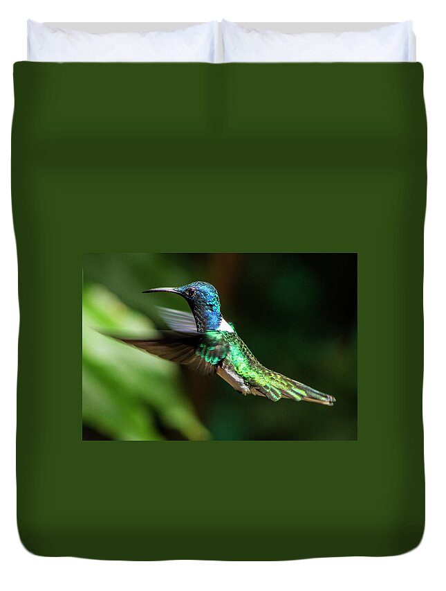 Animals Duvet Cover featuring the photograph Frequent Flyer, Mindo Cloud Forest, Ecuador by Venetia Featherstone-Witty