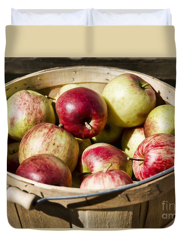 Maine Duvet Cover featuring the photograph Fresh Apples by Alana Ranney