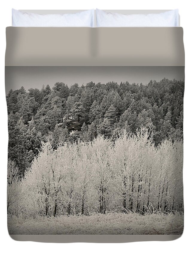 Photograph Duvet Cover featuring the photograph Fresh Snow by Kristin Davidson