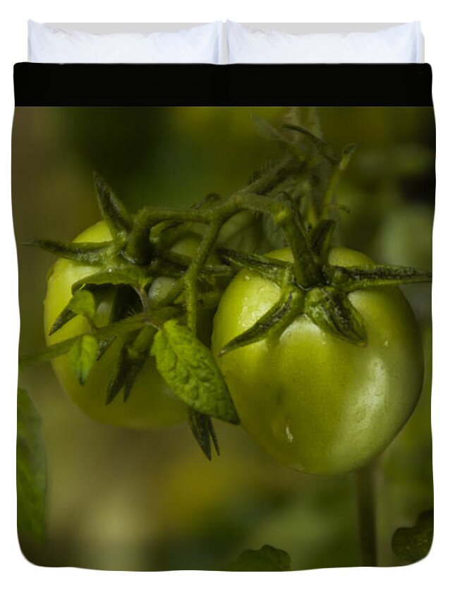 Tomato Duvet Cover featuring the photograph Fresh Tomato by Ramabhadran Thirupattur