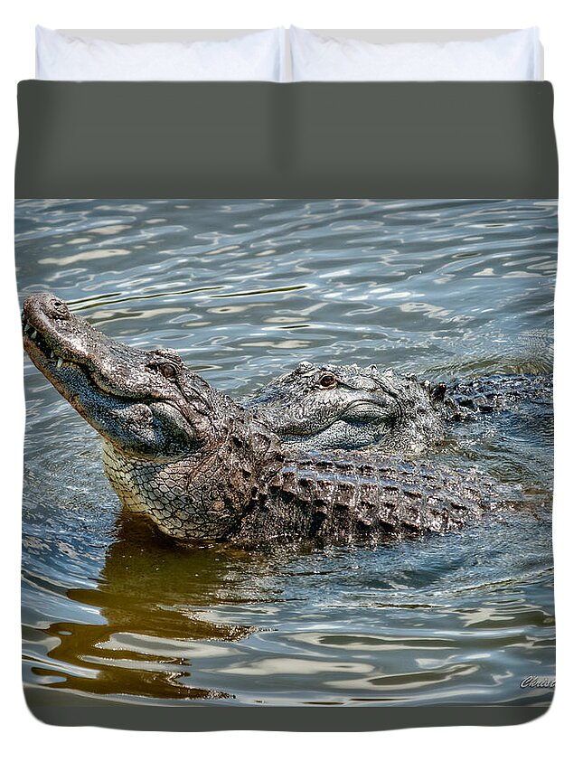 Christopher Holmes Photography Duvet Cover featuring the photograph Frisky in Florida by Christopher Holmes