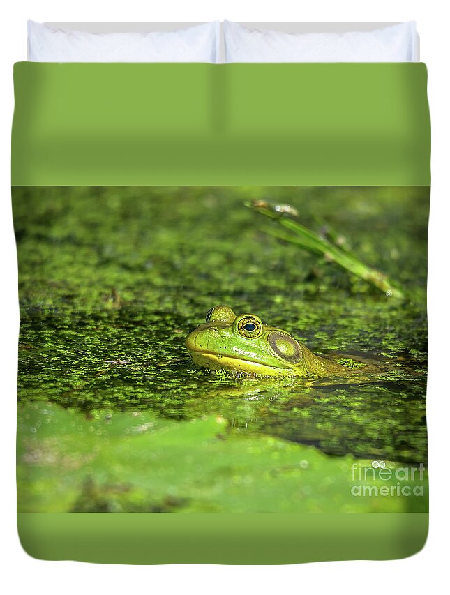 Cheryl Baxter Photography Duvet Cover featuring the photograph Frog in the Swamp by Cheryl Baxter