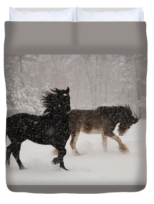 Horses Duvet Cover featuring the photograph Frolic in the Snow by Kristia Adams