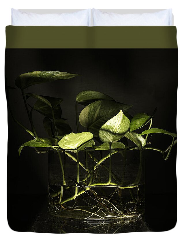 Bottom Light Duvet Cover featuring the photograph From the bottom by Rajiv Chopra