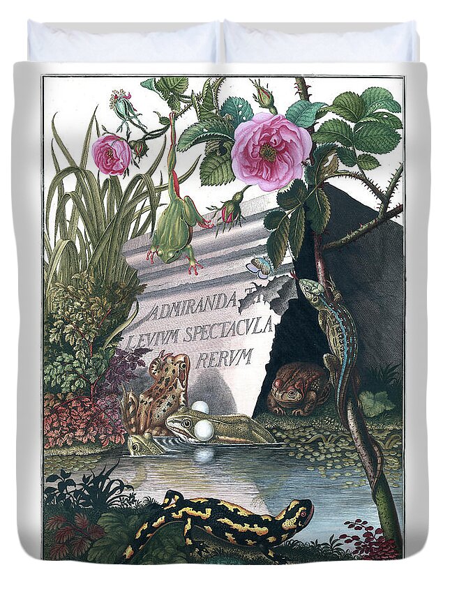 Frogs Duvet Cover featuring the drawing Frontis of Historia Naturalis Ranarum Nostratium by ArtistAugust Johann Roesel von Rosenhof