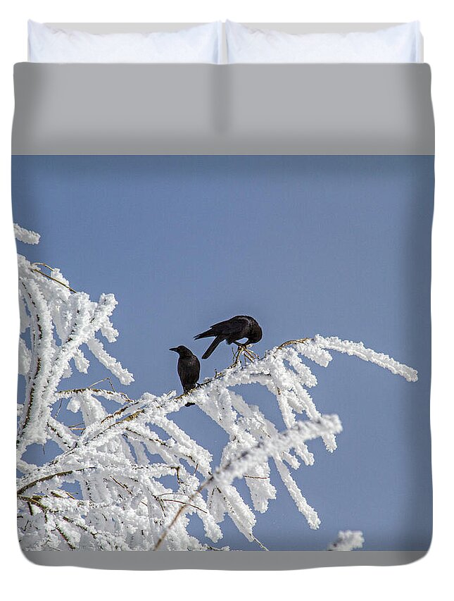 Frost Duvet Cover featuring the photograph Frosted and Crowed by Alana Thrower