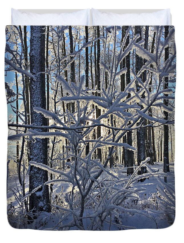 Frosty Trees Duvet Cover featuring the photograph Frosty Branches by Sandra Foster