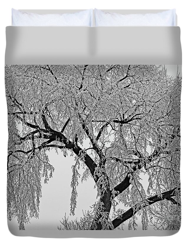  Duvet Cover featuring the digital art Frosty Friday by Darcy Dietrich