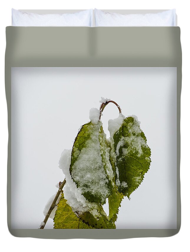 Snow Duvet Cover featuring the photograph Frosty Green Leaves by Deborah Smolinske