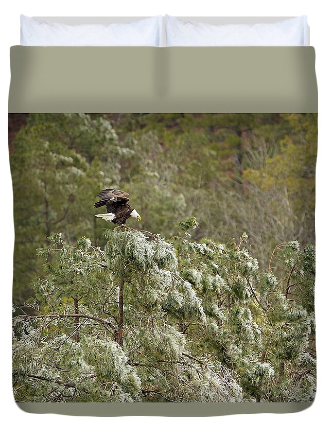 Bald Eagle Duvet Cover featuring the photograph Frozen Call by Eilish Palmer