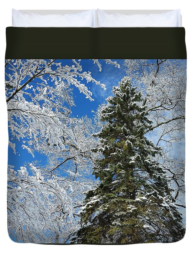 Winter Duvet Cover featuring the photograph Frozen Evergreen by Vic Ritchey