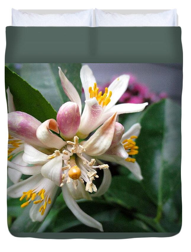Fruit Tree Duvet Cover featuring the photograph Fruit to Bear by Etta Harris