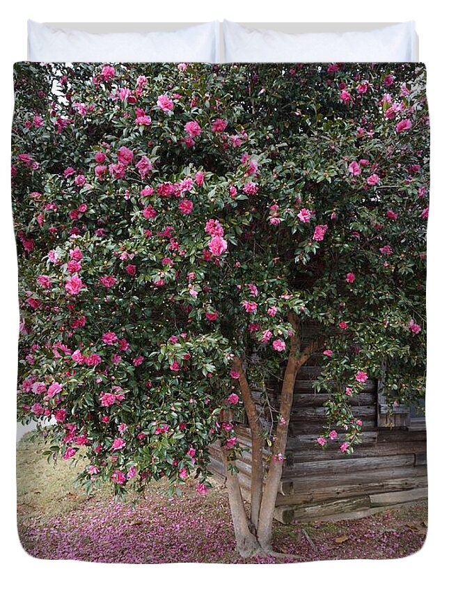 Camellias Duvet Cover featuring the photograph Fuchsia Camellia Tree by Maxine Billings