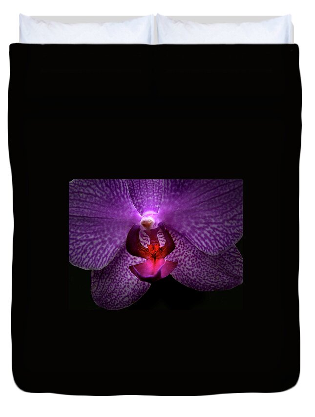 Fuchsia Spotted Orchid Duvet Cover featuring the photograph Fuchsia Spotted Orchid by Nancy Griswold