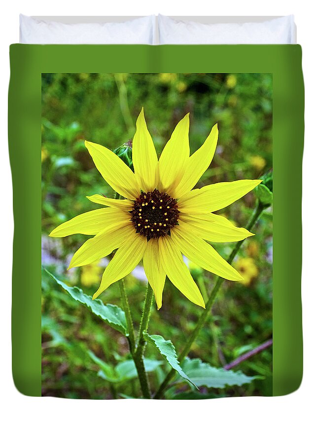 Full Sunflower In Rancho Santa Ana Botanic Gardens Duvet Cover featuring the photograph Full Sunflower in Rancho Santa Ana Botanic Gardens, Claremont-California by Ruth Hager