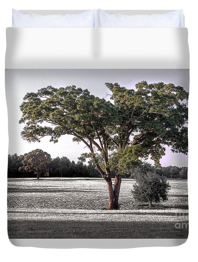 Tree Duvet Cover featuring the photograph Full Tree by Metaphor Photo