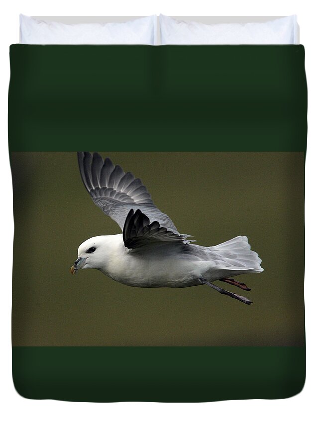 Fulmar Duvet Cover featuring the photograph Fulmar in flight by Tony Mills