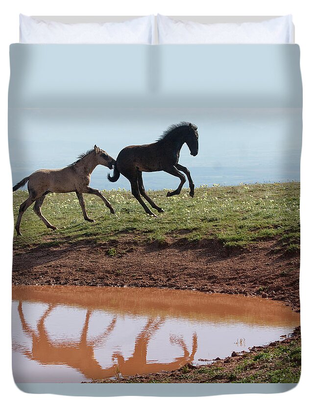 Wild Horse Duvet Cover featuring the photograph Fun in the Rockies- Wild Horse Foals by Mark Miller