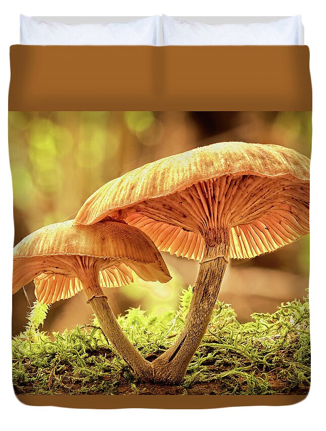 Fungi Duvet Cover featuring the photograph Fungi Beauty by Catherine Reading