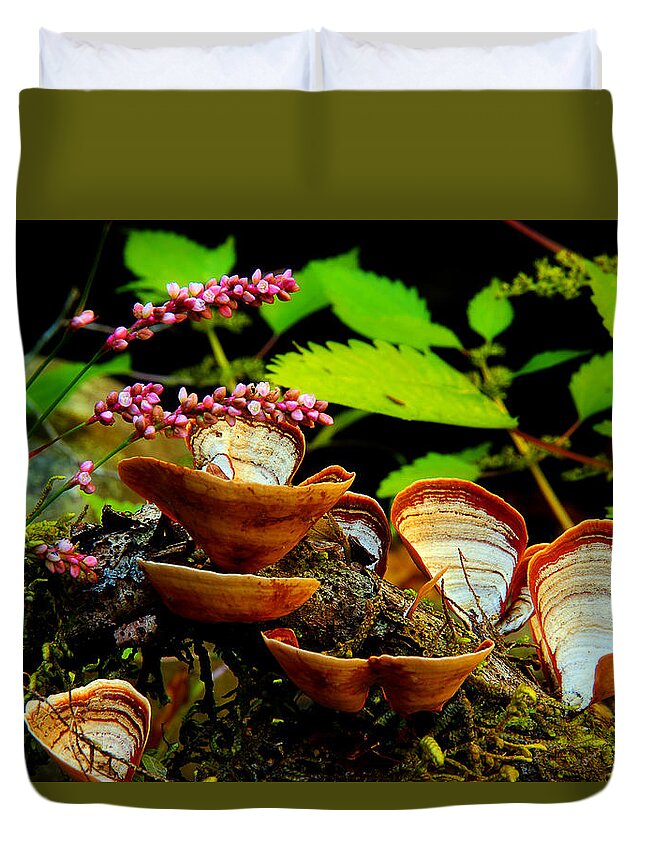 Flowers And Fungus Duvet Cover featuring the photograph Fungus Along The Stream by Mike Eingle
