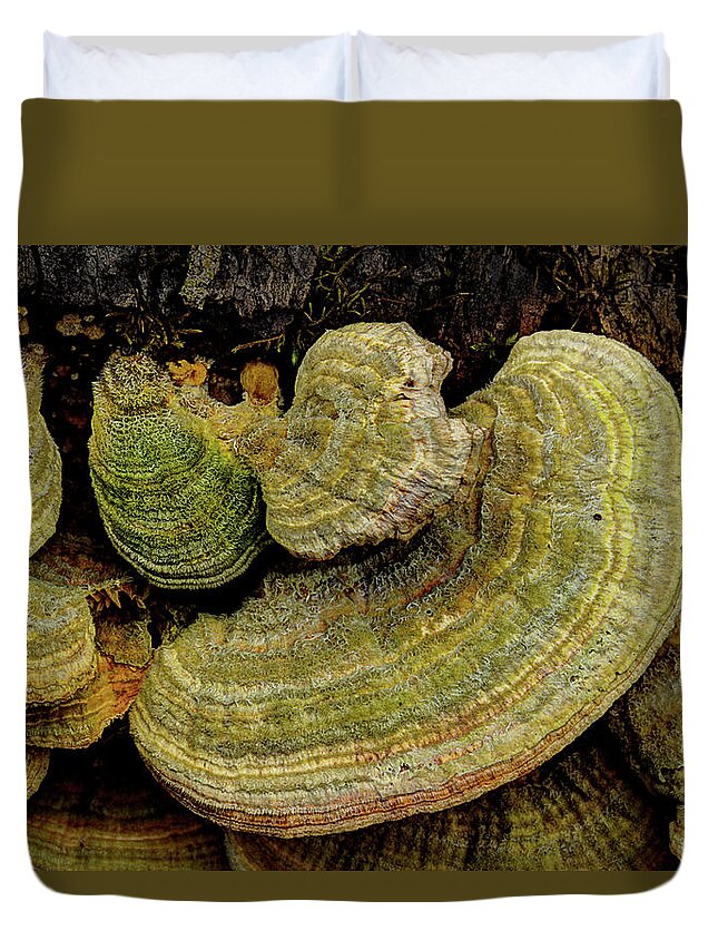 Fungus Duvet Cover featuring the photograph Fungus On The Log by Mike Eingle