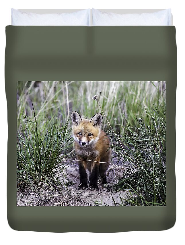 Animals Duvet Cover featuring the photograph Furry Friend by Valerie Pond