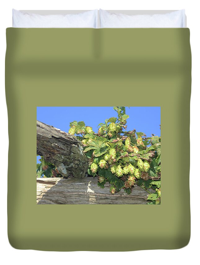 Hops Duvet Cover featuring the photograph Future Beer The Hops by Imagery-at- Work