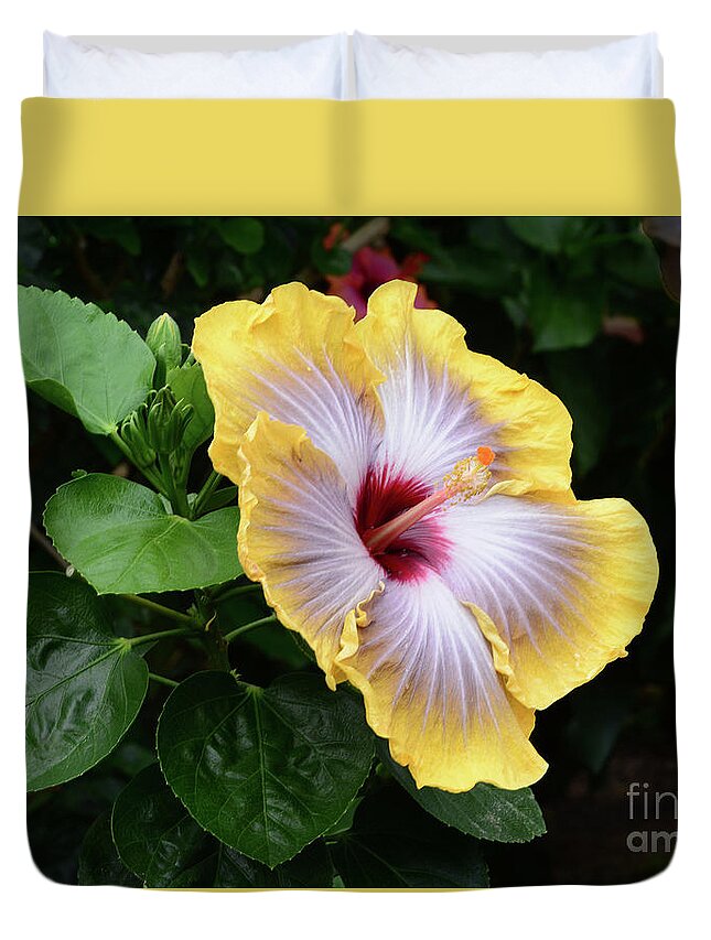 Flowers Duvet Cover featuring the photograph Future is Bright by Cindy Manero