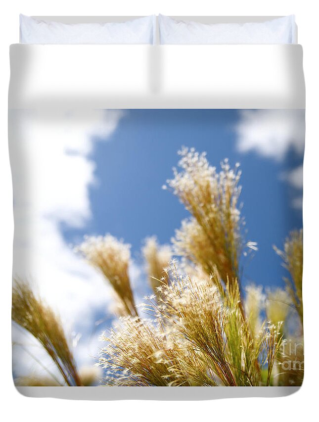 Background Duvet Cover featuring the photograph Fuzzy White Flowers by Kicka Witte - Printscapes