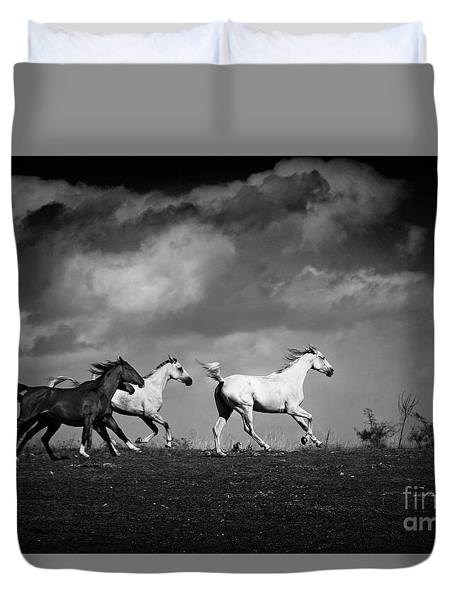 Horse Duvet Cover featuring the photograph Galloping white horses Black and White by Dimitar Hristov