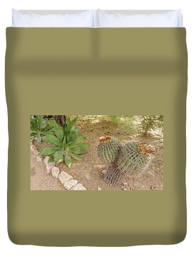 Cactus Duvet Cover featuring the digital art Garden cactus by Darrell Foster