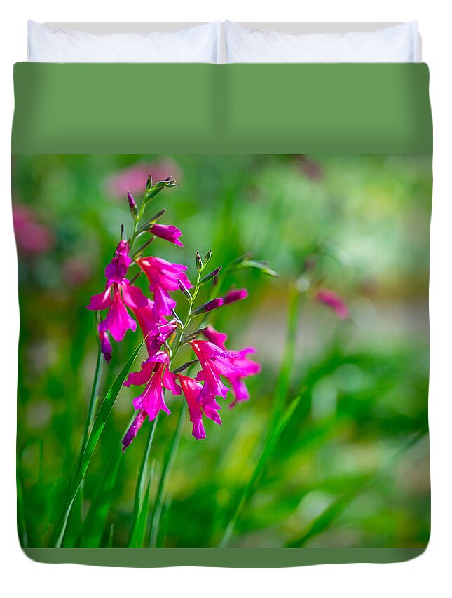 Flower Duvet Cover featuring the photograph Garden Greeting by Derek Dean