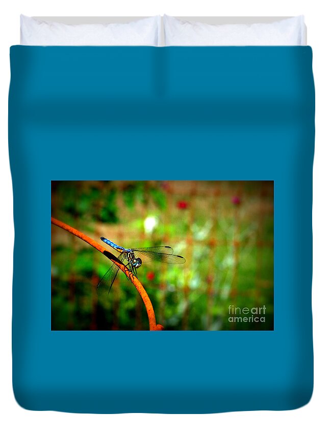 Dragonfly Duvet Cover featuring the photograph Blue Dragonfly by Eunice Miller