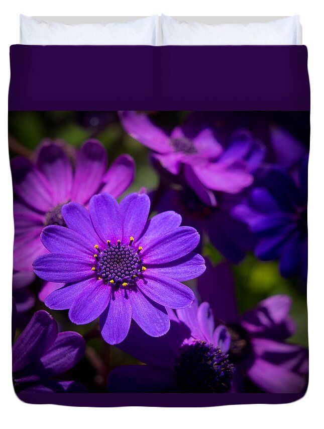 Flower Duvet Cover featuring the photograph Garden Light by Derek Dean
