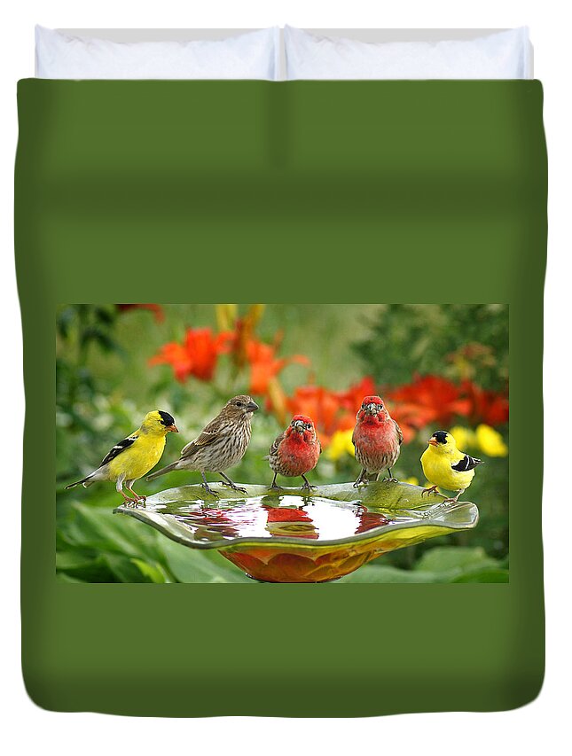 American Goldfinch Duvet Cover featuring the photograph Garden Party by Bill Pevlor