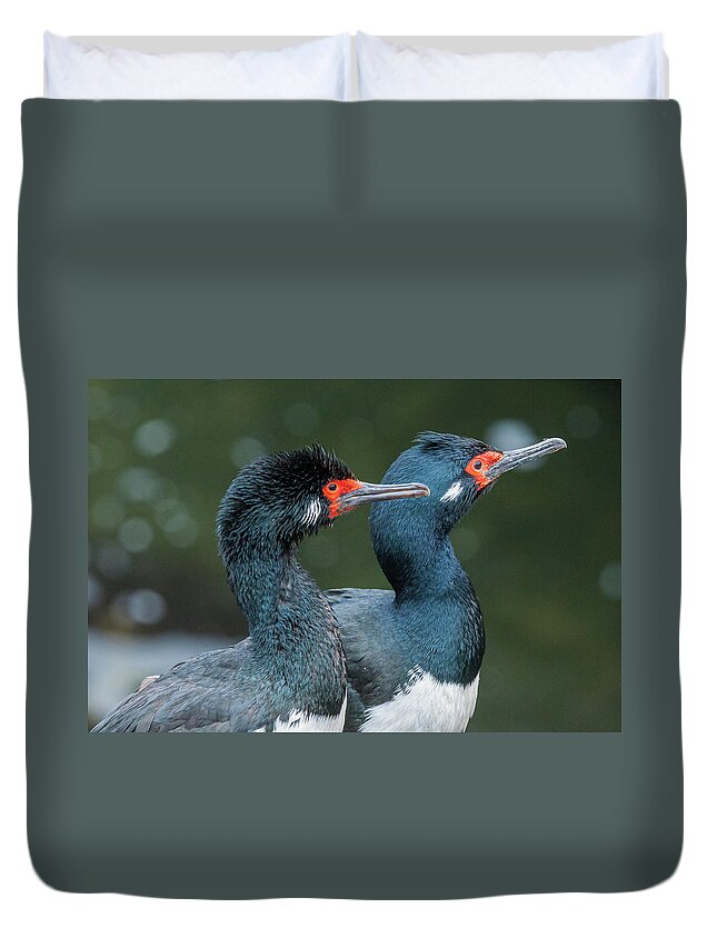 Birds Duvet Cover featuring the photograph Gazing into the future. by Usha Peddamatham