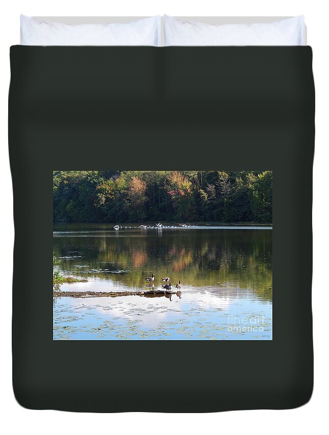Photography Duvet Cover featuring the photograph Geese At Rest And Flying by Phil Perkins