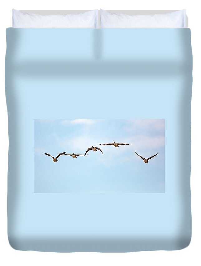 Birds In Flight Duvet Cover featuring the photograph Geese in Flight 2018 by Bill Wakeley