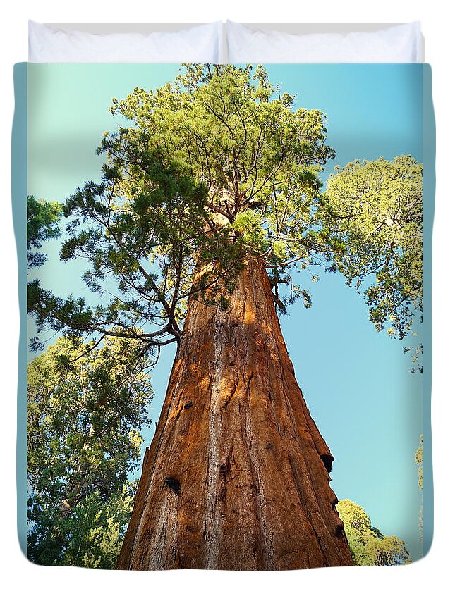 California Duvet Cover featuring the photograph General Sherman Tree by Beth Collins