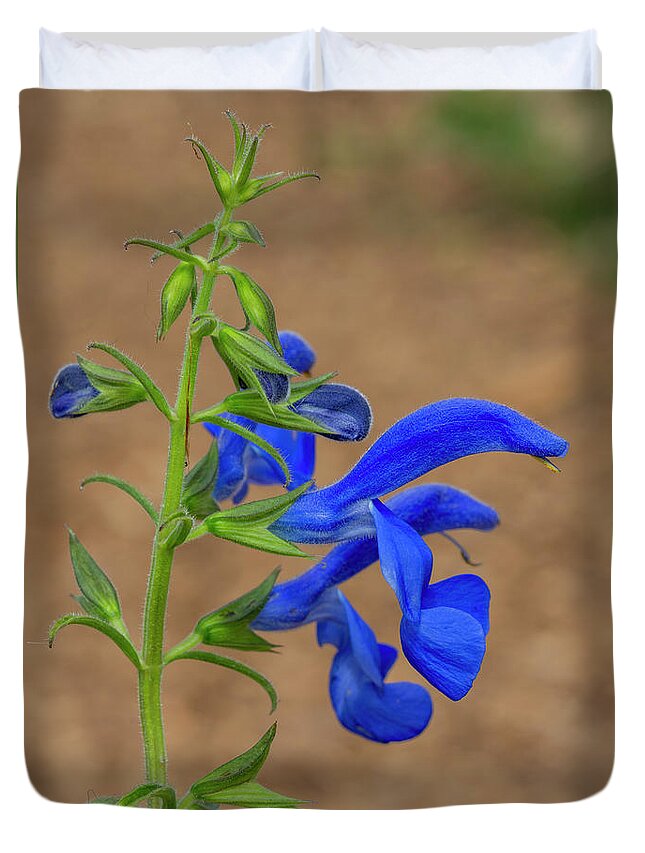 Sage Duvet Cover featuring the photograph Gentian Sage by Bruce Frye